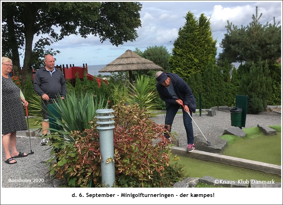 Minigolf på Sannes
                                              Familiecamping