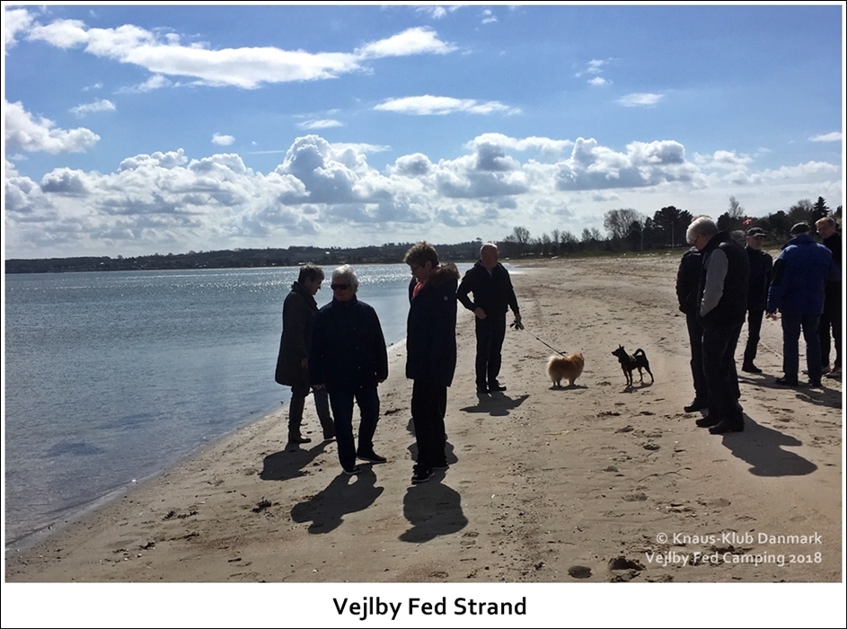 Vejlby-fed-Strand